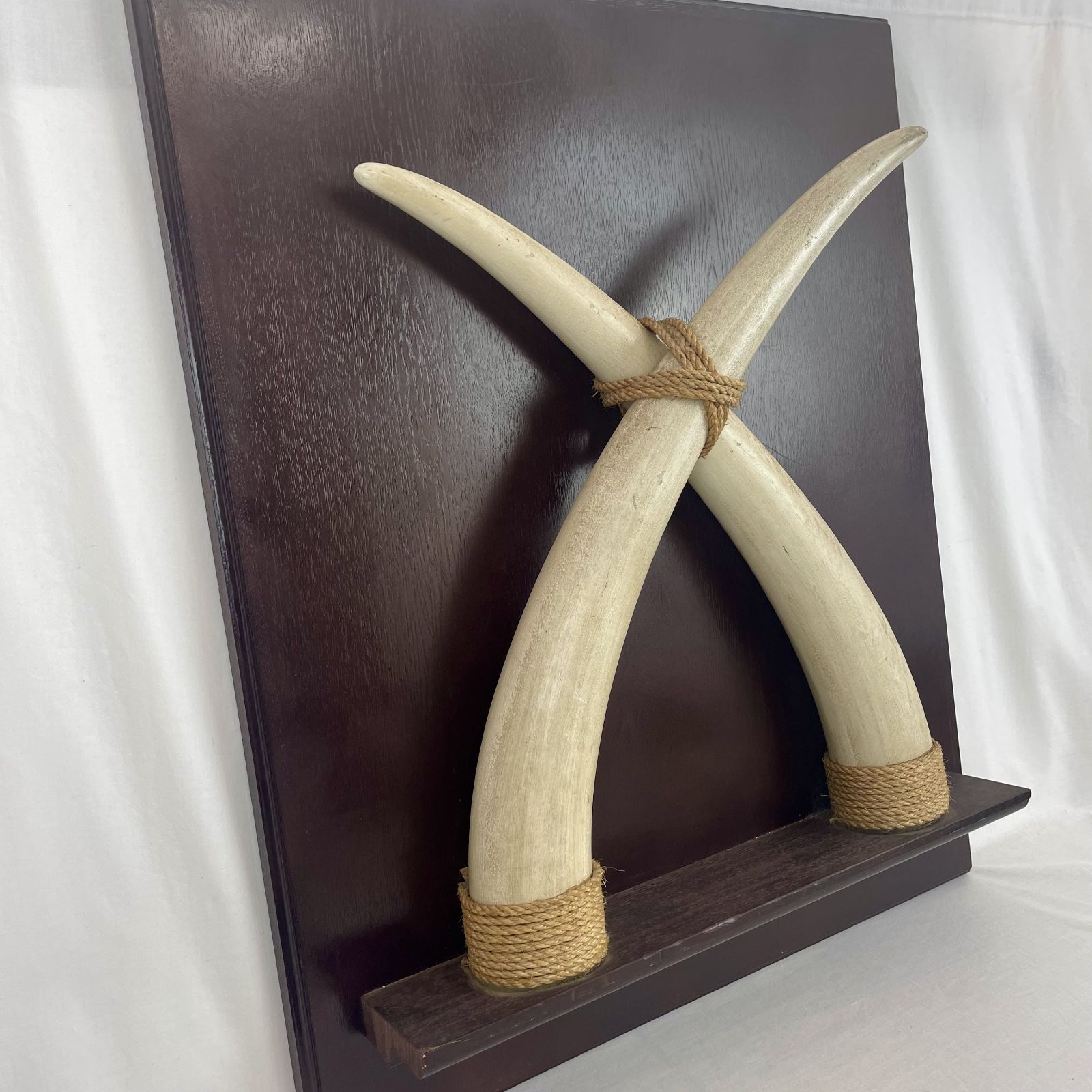 象牙レプリカ オブジェ 壁掛け アフリカン サファリ風 国内特注品