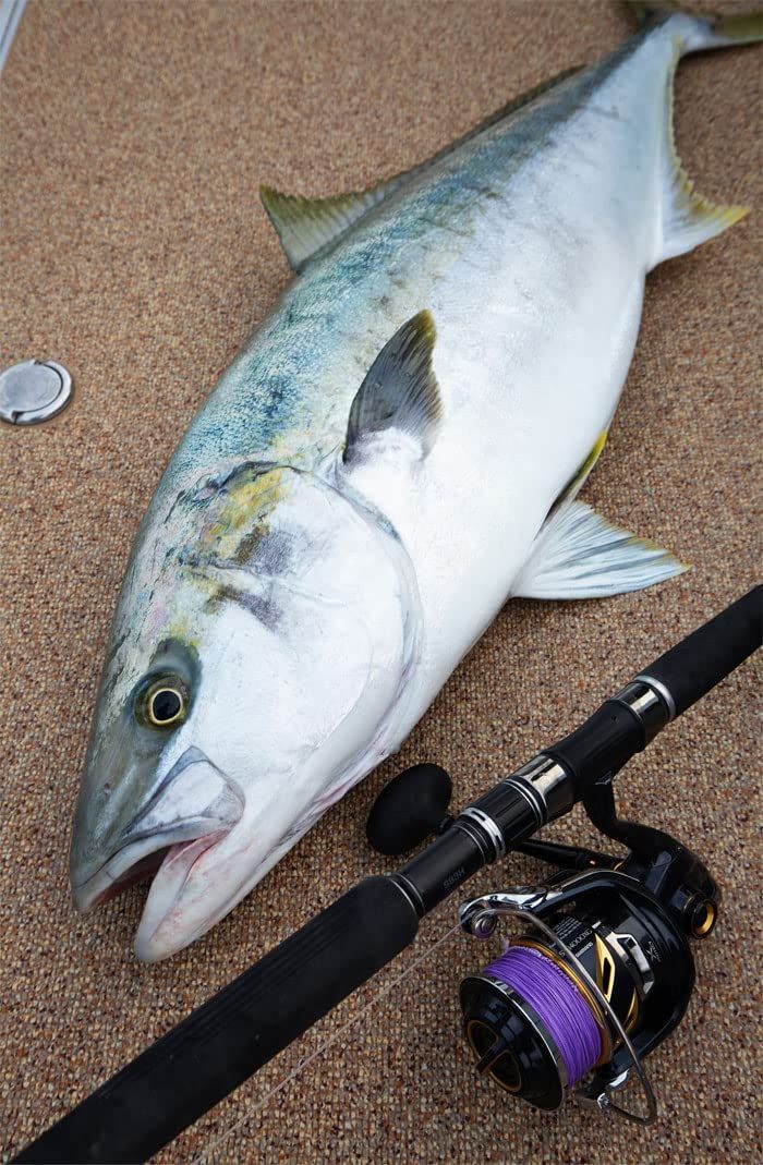 在庫 SMP キャスティングPE アバニ ヒラマサチューン 2025 X 8 バリバス VARIVAS