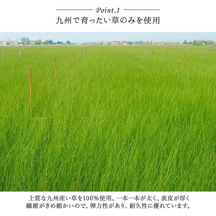 キッチンマット マット