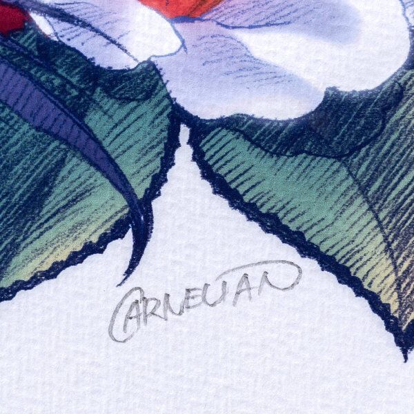 カーネリアン 水菜