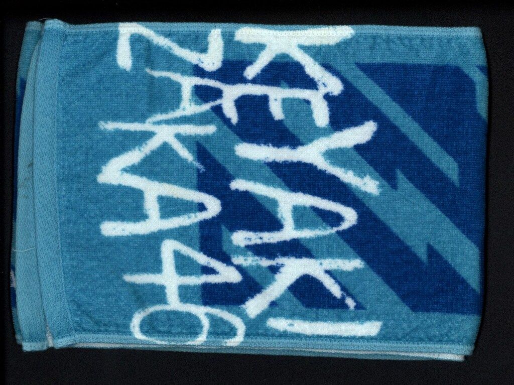 欅坂46 1ST YEAR BIRTHDAY LIVE 長濱ねる 推しメンマフラータオル