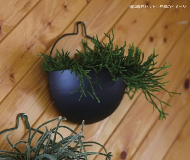 花 観葉植物用ポット プオリ ウォールハンギング 24 K HANGING 4個入り 35109 底穴なし パウダーコートスチール製 代引き不可 ハンキングポット 吊るしタイプ FARM p263 STEELWINDOWSANDDOORS_COM
