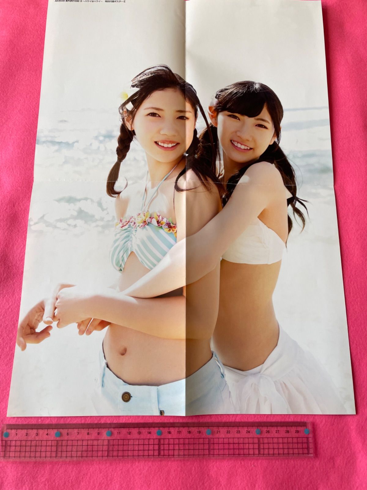 AKB48 海外旅行日記3 〜ハワイはハワイ〜特別付録ポスターE