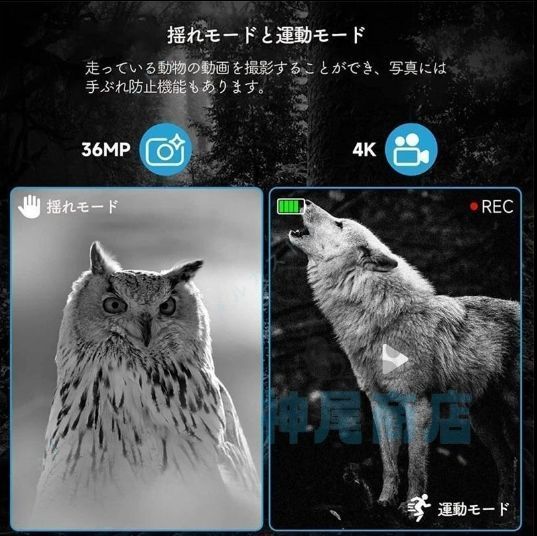 暗視