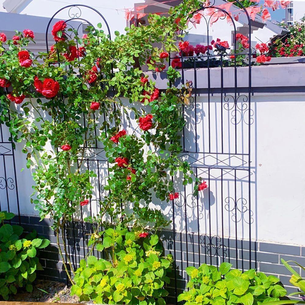 ybaymy ガーデンフェンス アイアン ローズフェンス ガーデニング用支柱 園芸支柱 防錆 180x50cm 2枚セット 簡単組立式 MARWIL-DEMENAGEMENTS_CH