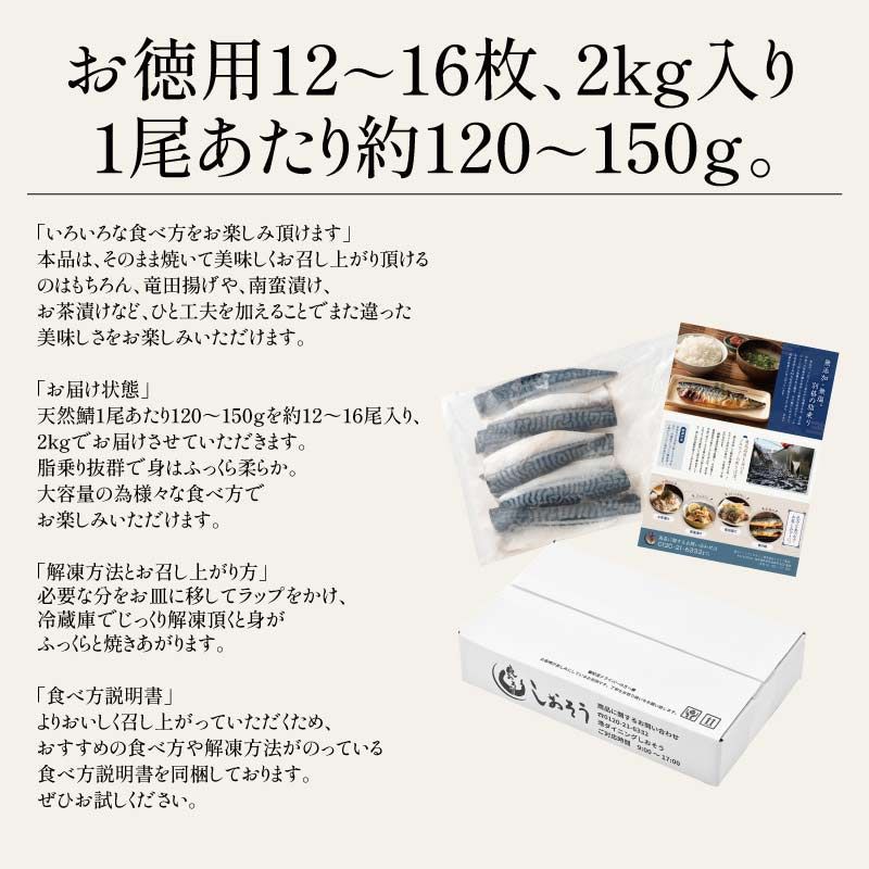 サバ 鯖