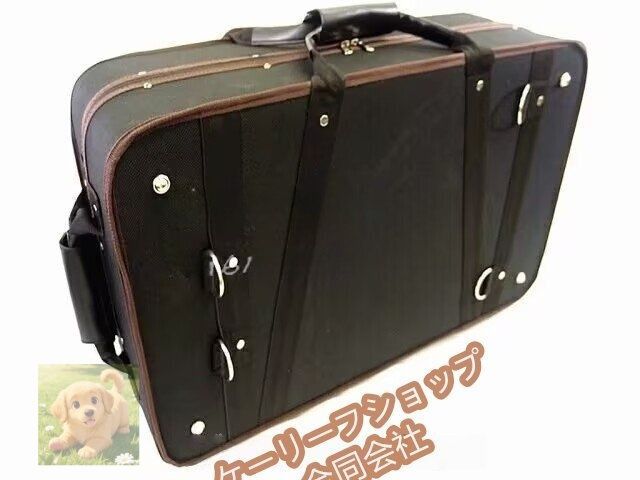 航空機持ち込み対応 楽器用キャリーボックス