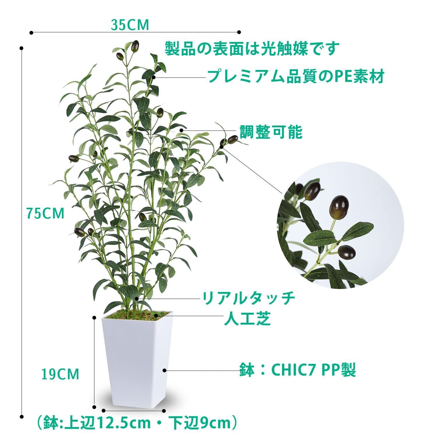 室内 75CM