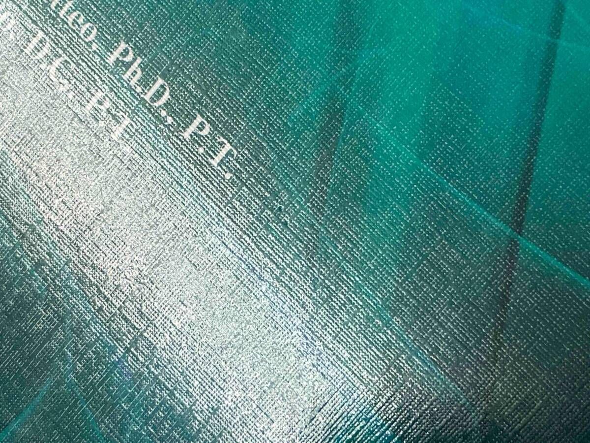 IMTシリーズ(Ⅲ) 統合的徒手療法 生体力学編 筋エネルギｰと'その向こう