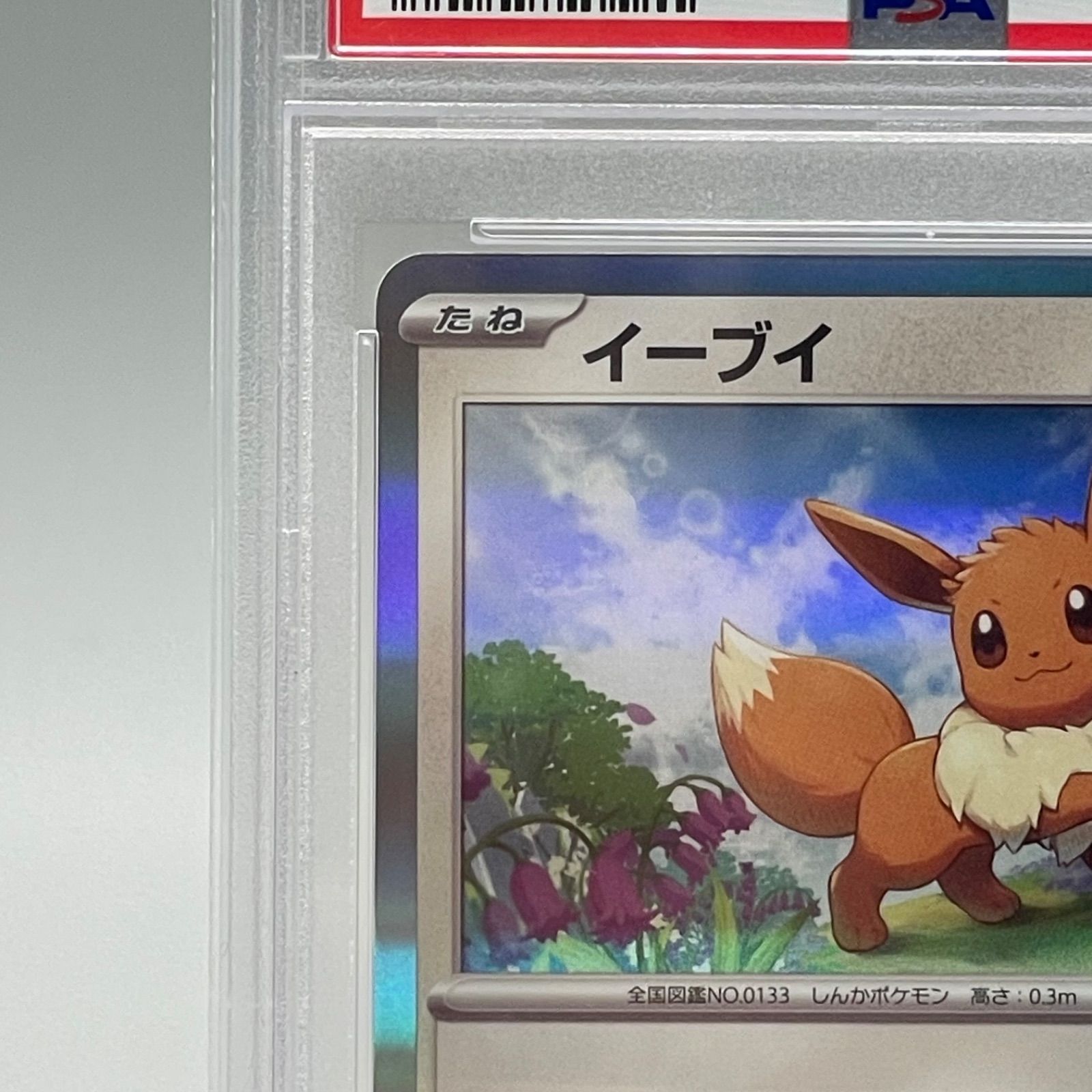 PSA10】イーブイ 033/SV-P ポケモンカードゲーム教室プロモ - メルカリ