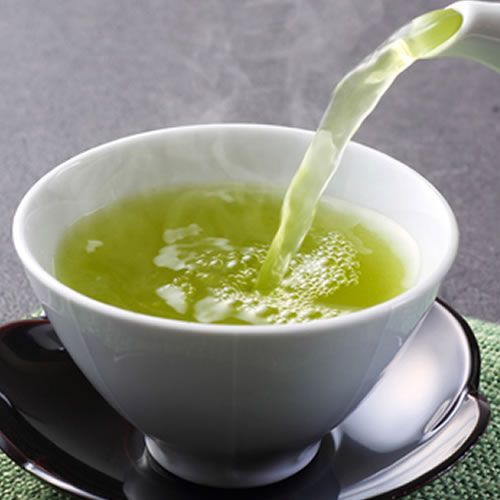 【２袋】鹿児島ブランド茶！知覧茶2袋（100g×2）／🎁２セットお買い上げごとに1袋プレゼント！／日本茶