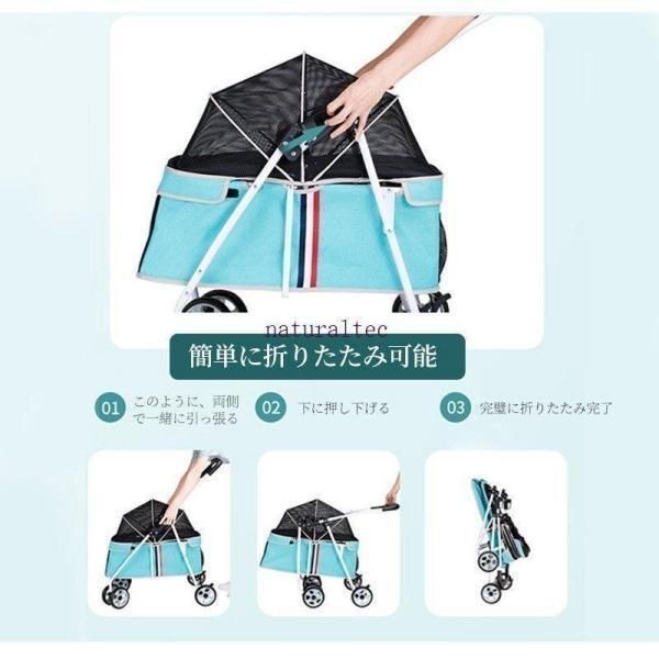 小型犬