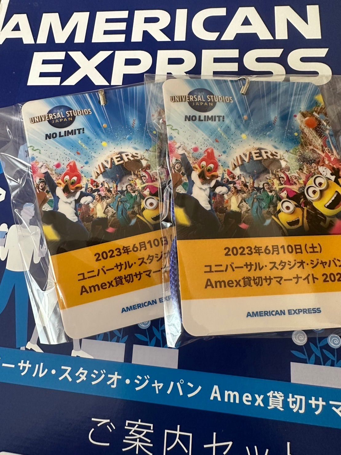 ユニバーサルスタジオジャパン AMEX貸切 2023 6月16日 4名分 - 施設利用券