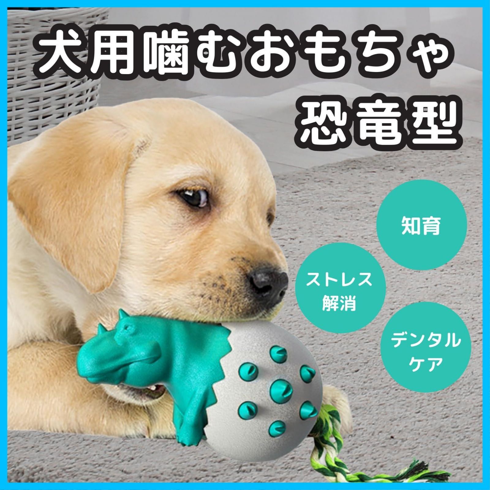 歯磨き