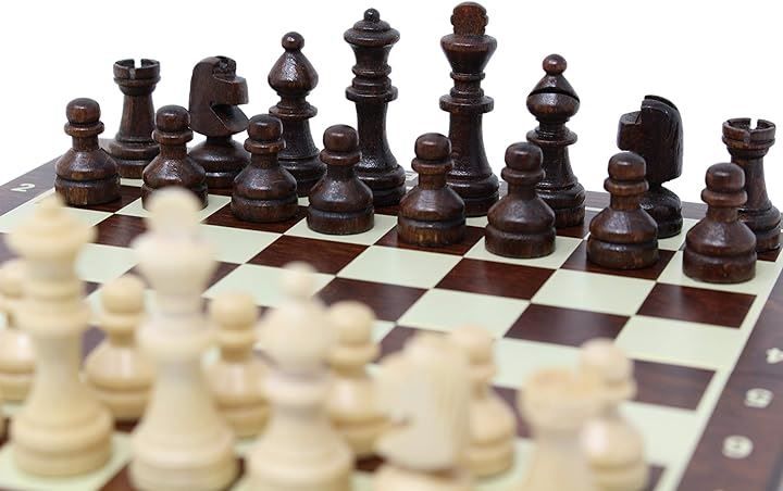 チェス　一式 ChessJapan チェスセット 木製 コンパクト 20cm 磁石式 : チェス