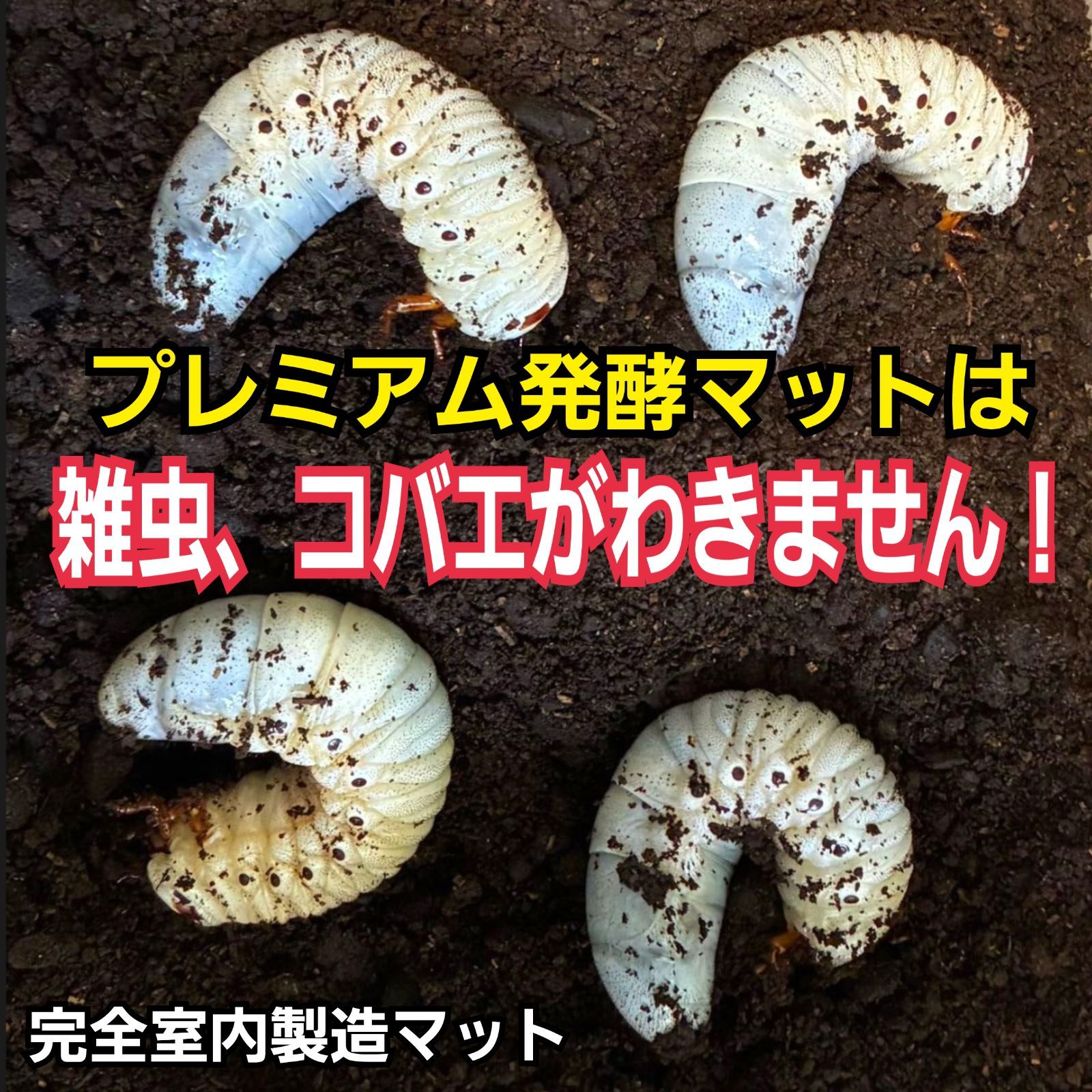 大人気！雑虫がわかない！完全室内製造！極上！プレミアム発酵カブトムシマット　8袋 大人気！雑虫がわかない！完全室内製造！極上！プレミアム発酵