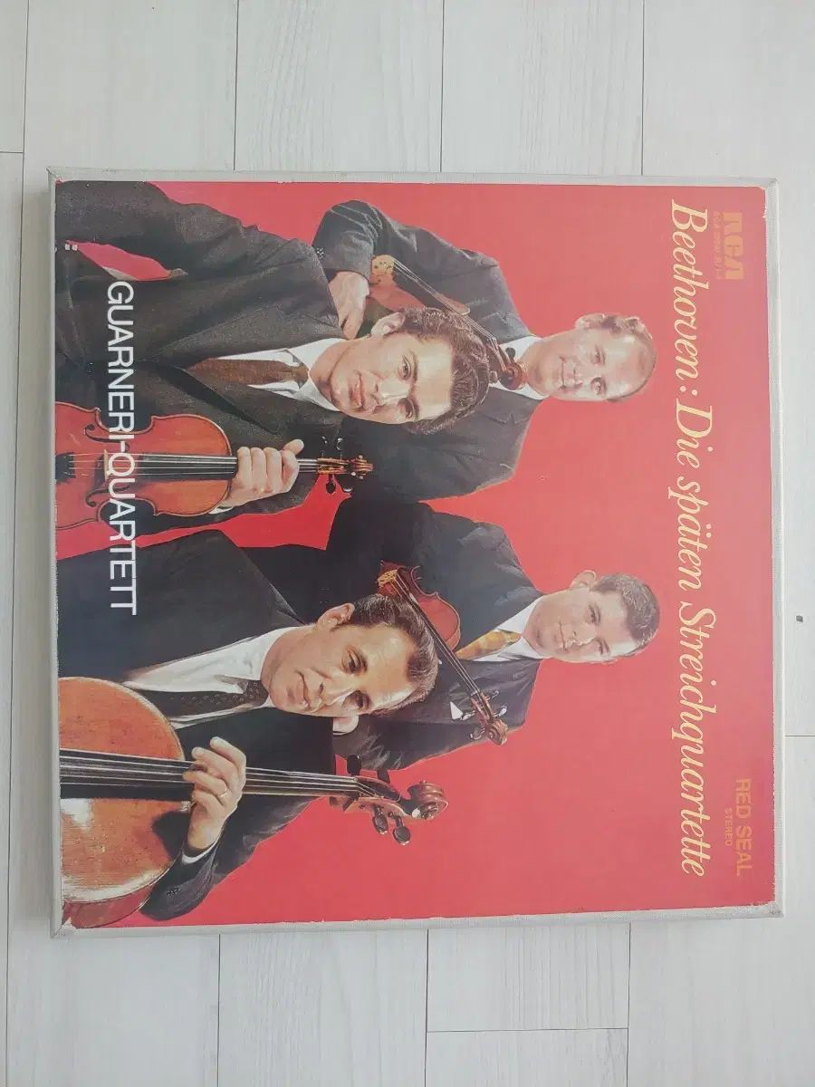 生意気ギャル 星野 ギルティホール DIVINECROSS ディヴァインクロス 生意気ギャル 星野 ギルティホール DIVINECROSS ディヴァインクロス