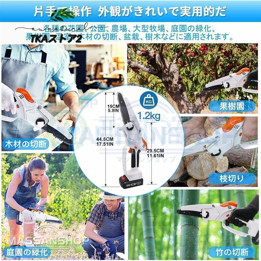 着脱式ポール
