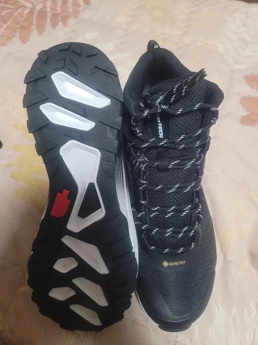 FACE ザノースフェイス