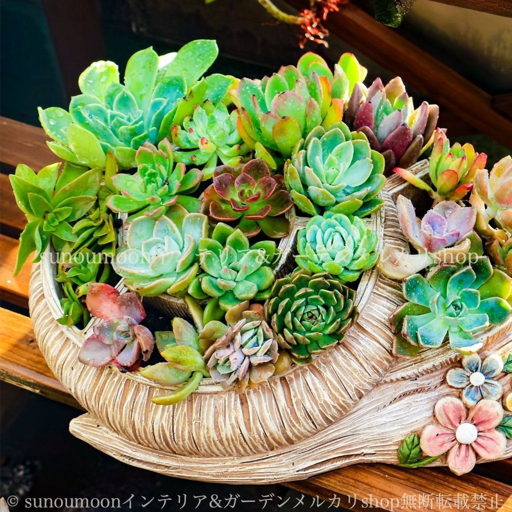 ガーデニング カタツムリ