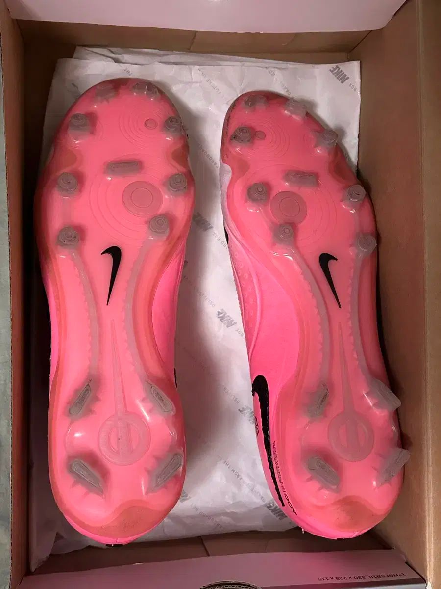 ナイキ ティエンポ レジェンド 10 エリート FG 280