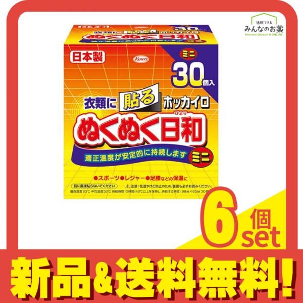 ホッカイロ ぬくぬく日和 貼るタイプ ミニ 30個入 6個セット