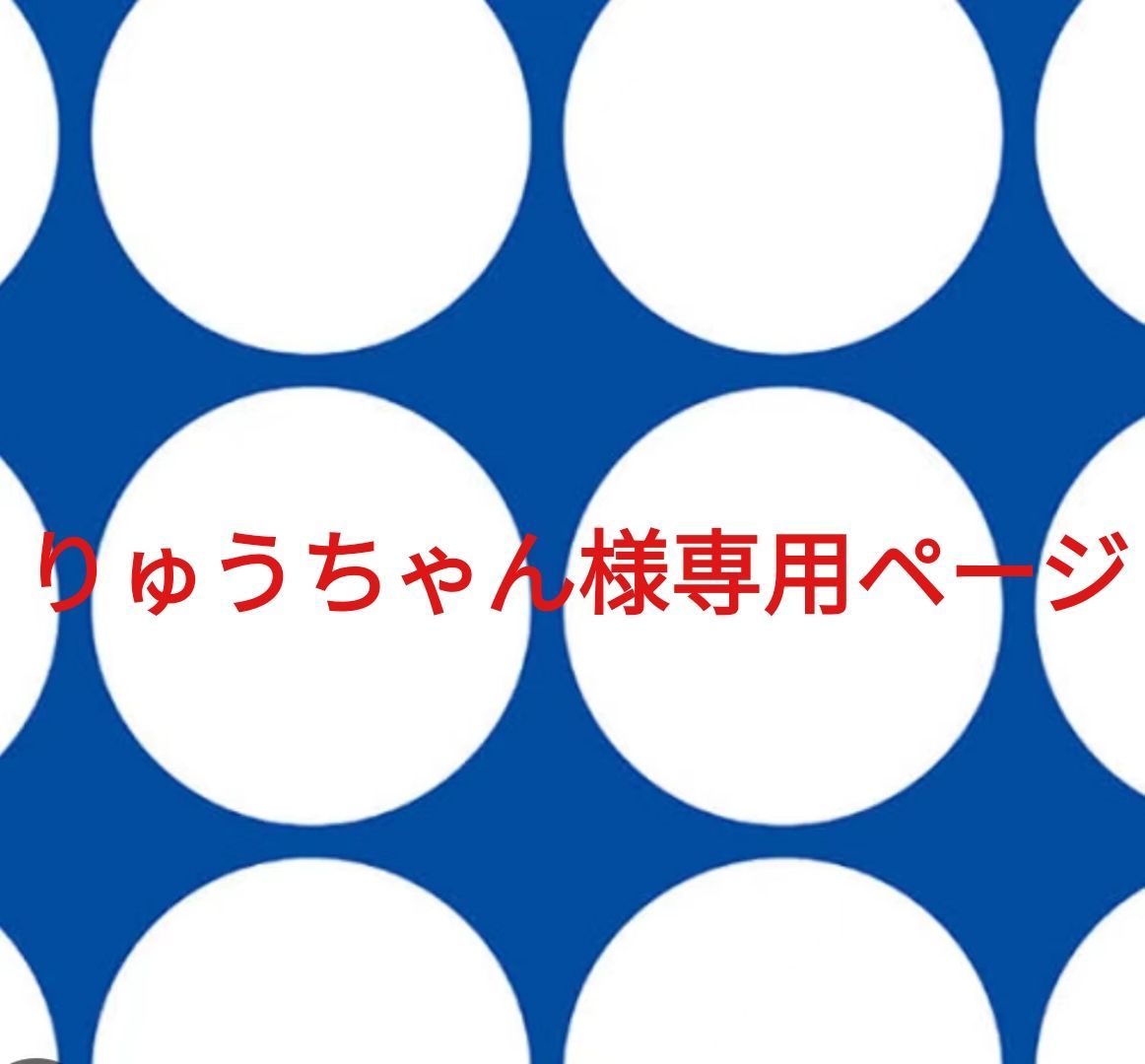 りゅうちゃん様専用ページです。 - メルカリ 