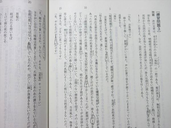 駿台 共通テスト現代文 パーフェクトレクチャー 2023 中野芳樹
