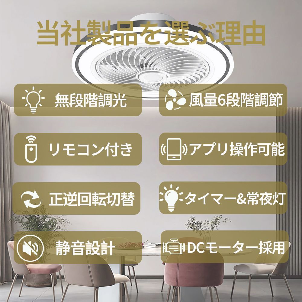 ファンライト