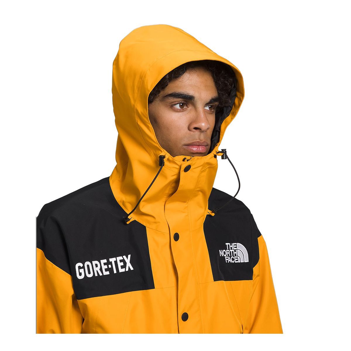 THE NORTH FACE ザ ノースフェイス GTX MOUNTAIN JACKET マウンテン 
