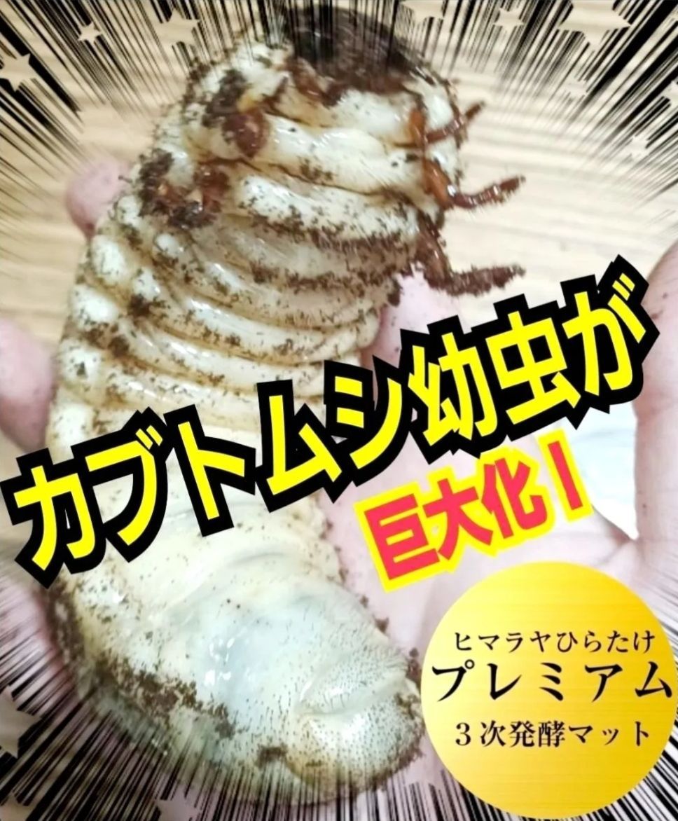 極上！プレミアム3次発酵カブトムシマット【50リットル】特殊アミノ酸