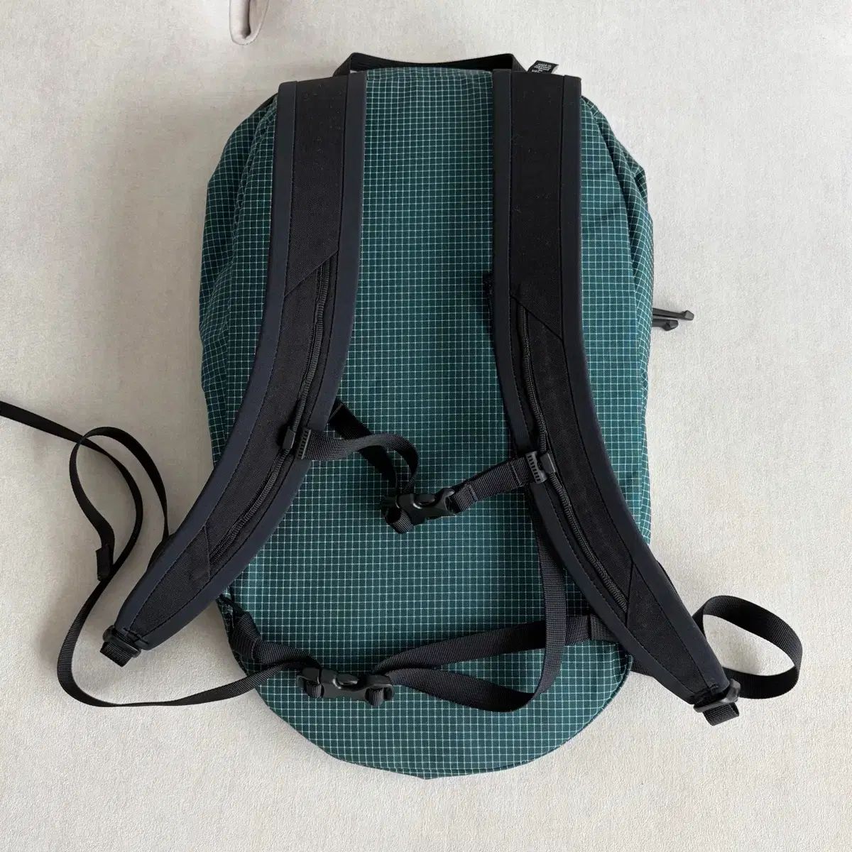 ARC TERYX アークテリクス 隠す 15 ピュテアス