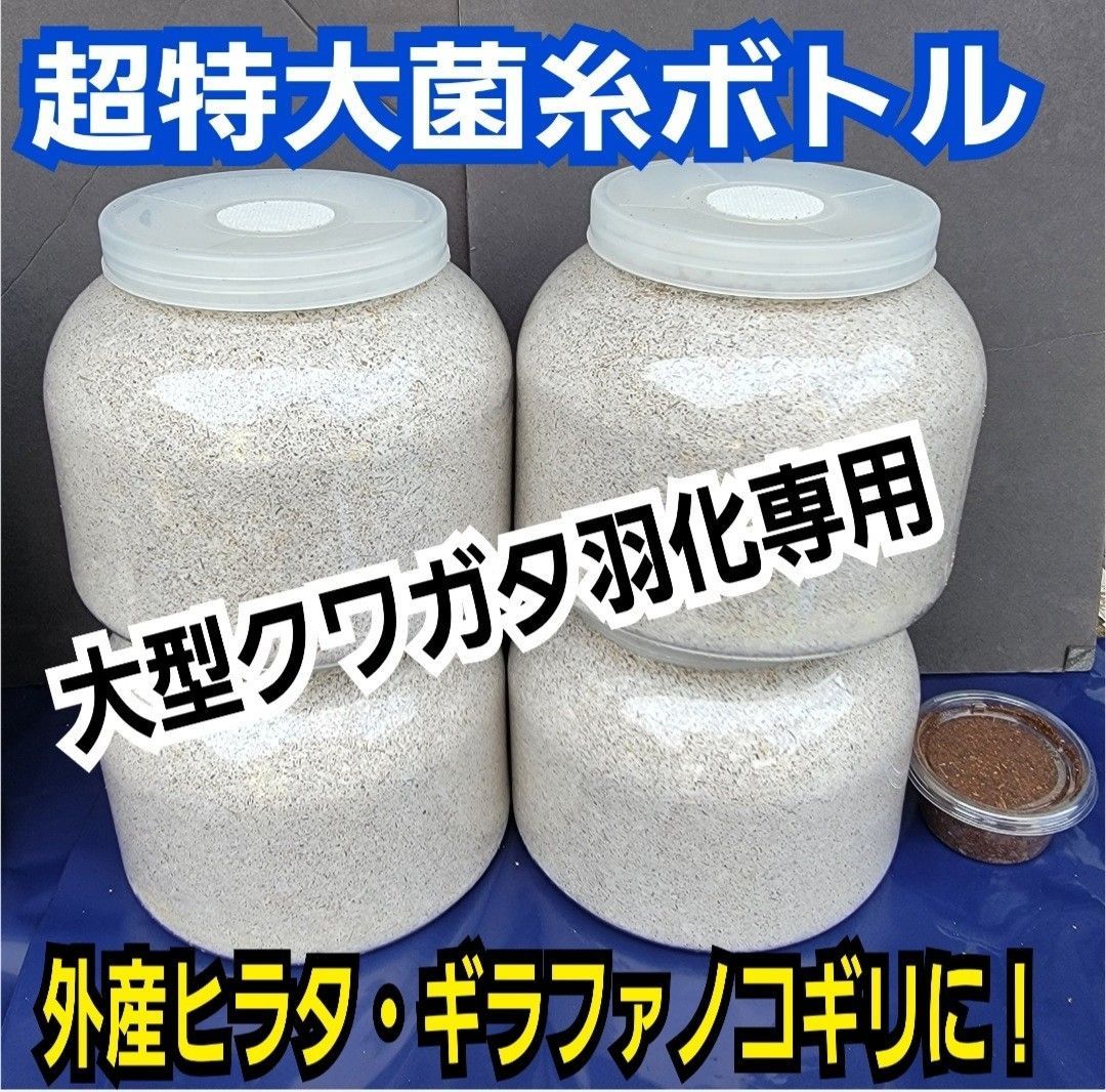 スーパービックサイズ2300ml【3本セット】特選ヒマラヤひらたけ菌糸瓶☆大型クワガタ羽化専用！トレハロース・キトサン・ローヤルゼリー強化配合！ギネスサイズ狙いに！  - メルカリ