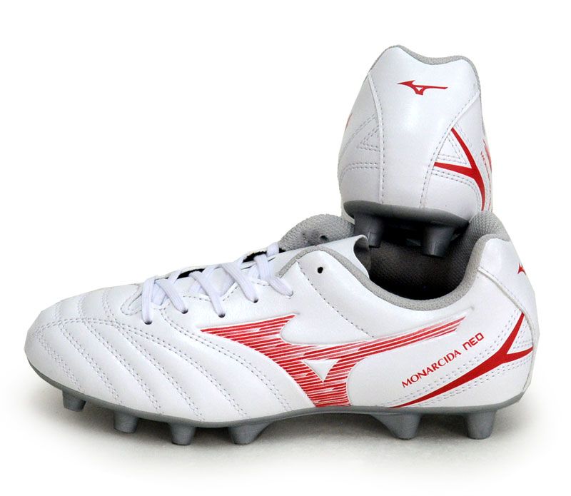 小滝川採取 天然石 庭石 約60cm級 真贋不明 ヒスイ峡 - 観光