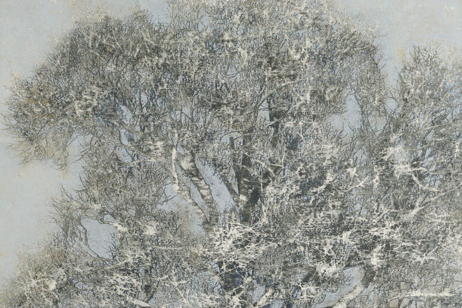 額装品　初期木版画　ミュンスター　トリーア都市景観図　コスモグラフィア 美品 額装品 初期木版画 ミュンスター トリーア都市景観図 コスモ