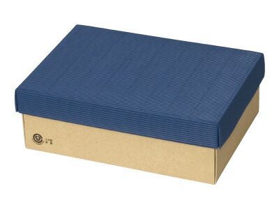 カラーボックス95 青 大 お菓子 パッケージ ギフトボックス 箱 ラッピング ラッピング用品 プレゼント 業務用