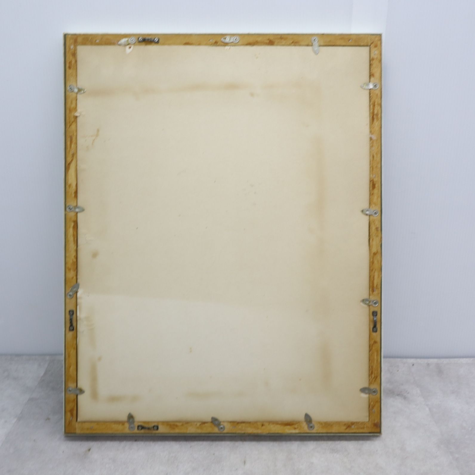 △インテリアに!!! 約56×44cm｜額入り 押し花 ｜ アート