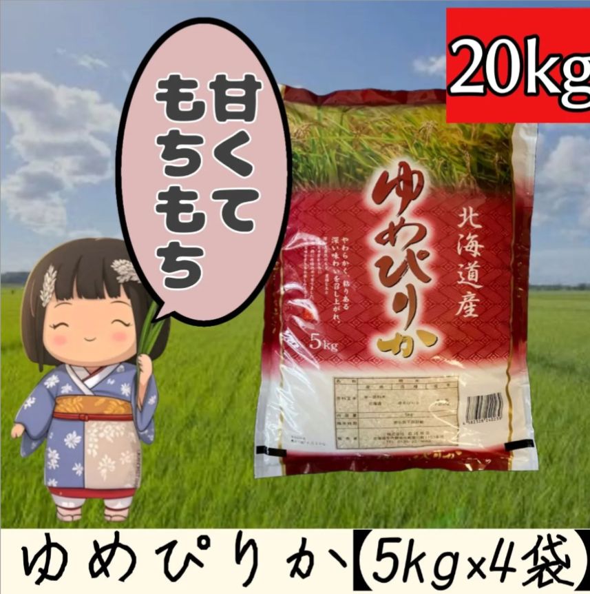 新米 ゆめぴりか 北海道産 5kg×4袋 計20kg 令和7年産 10月中旬精米