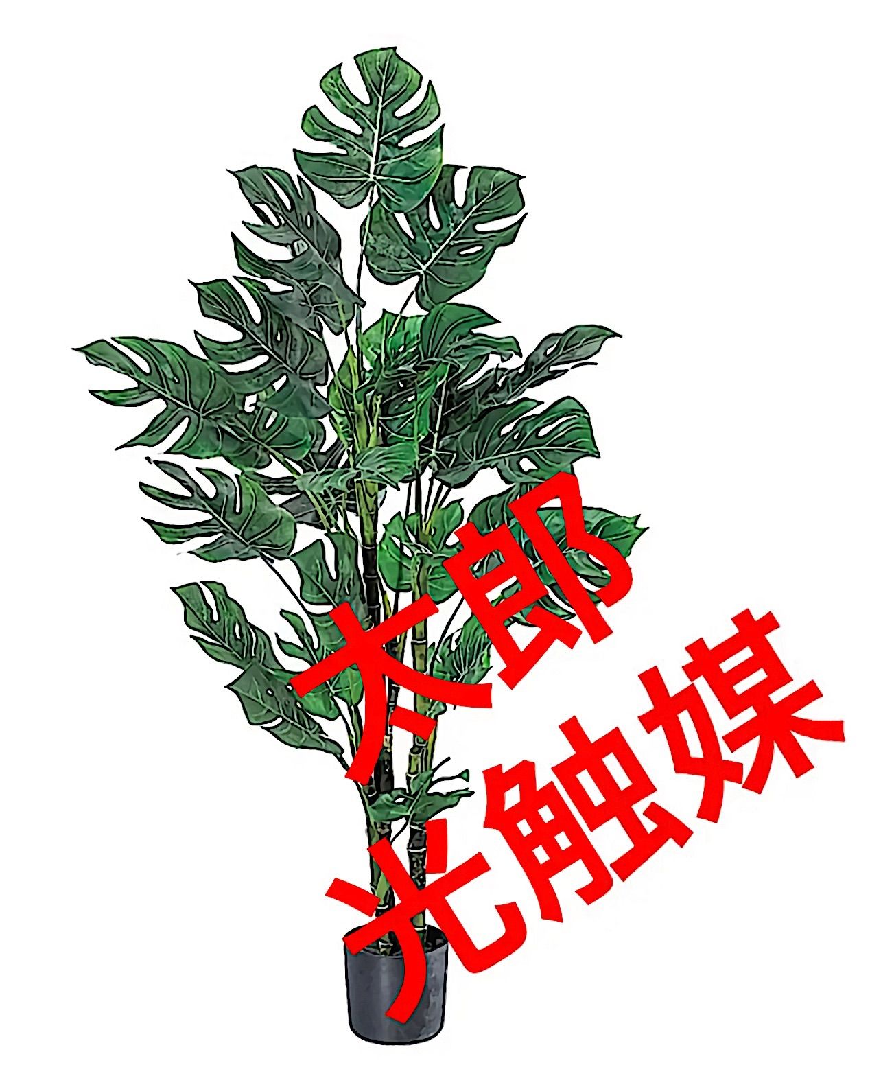 光触媒　人工観葉植物　ウォールグリーン　フェイクグリーン　モンステラ120
