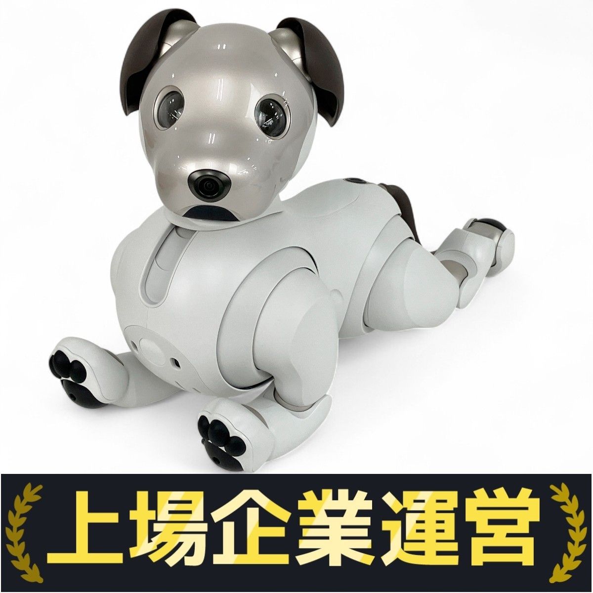 SONY ソニー aibo アイボ ERS-1000 本体 修理済み SONY ソニー aibo アイボ ERS-1000 本体 修理済み アイボ AIBO aibo