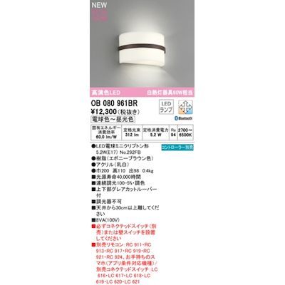 【新品・7営業日以内発送】オーデリック ODELIC OB080961BR ランプ別梱包【沖縄離島販売】