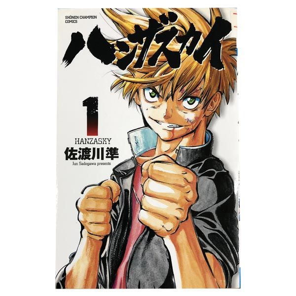 ハンザスカイ 1～13巻 漫画 全巻セット 完結 少年チャンピオン