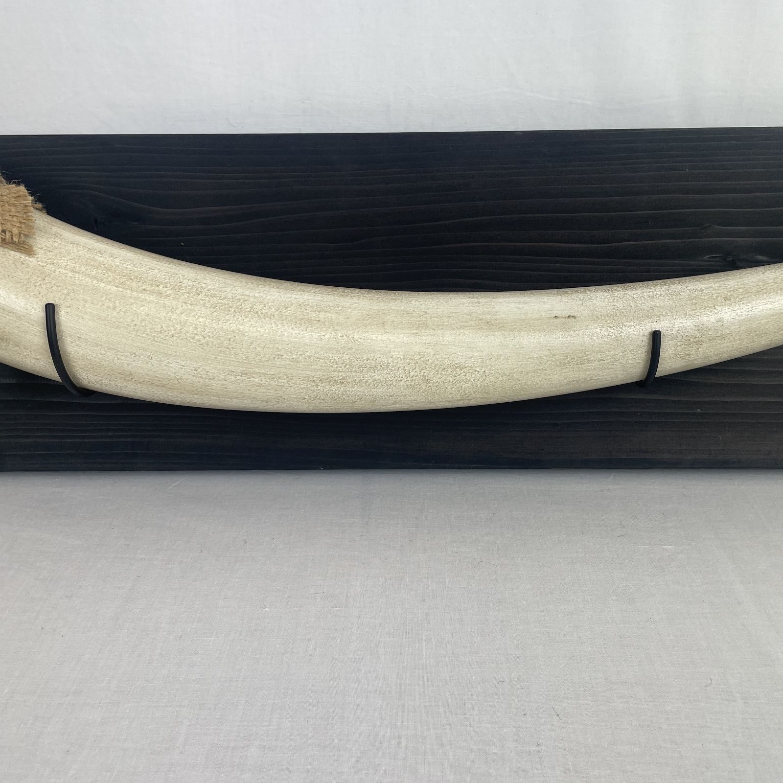 象牙レプリカ オブジェ 壁掛け アフリカン サファリ風 国内特注品