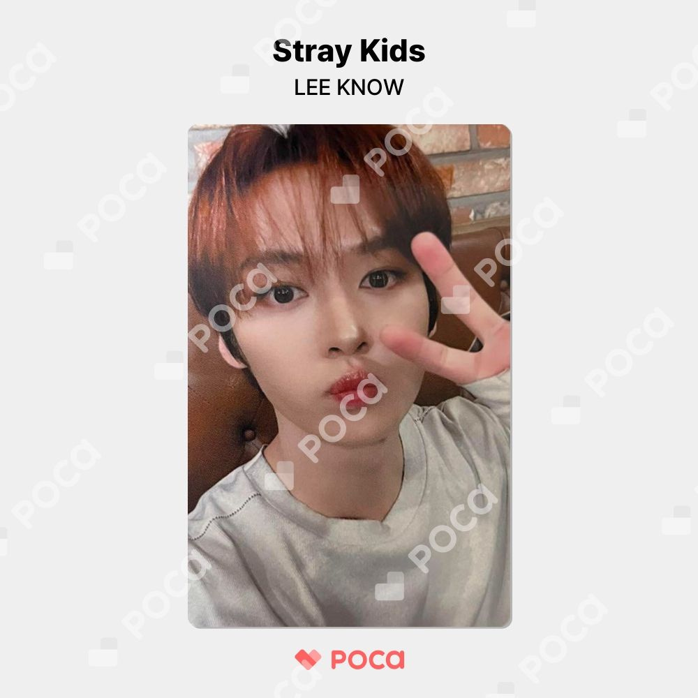 straykids リノ スキズ トレカ 5-STAR Dome Tour 2023 NAGOYA