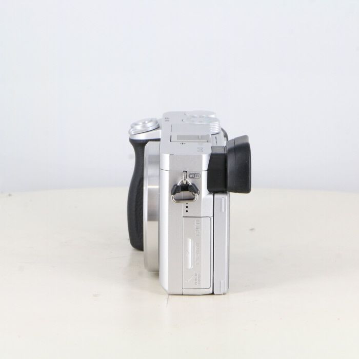 ボディ シルバー