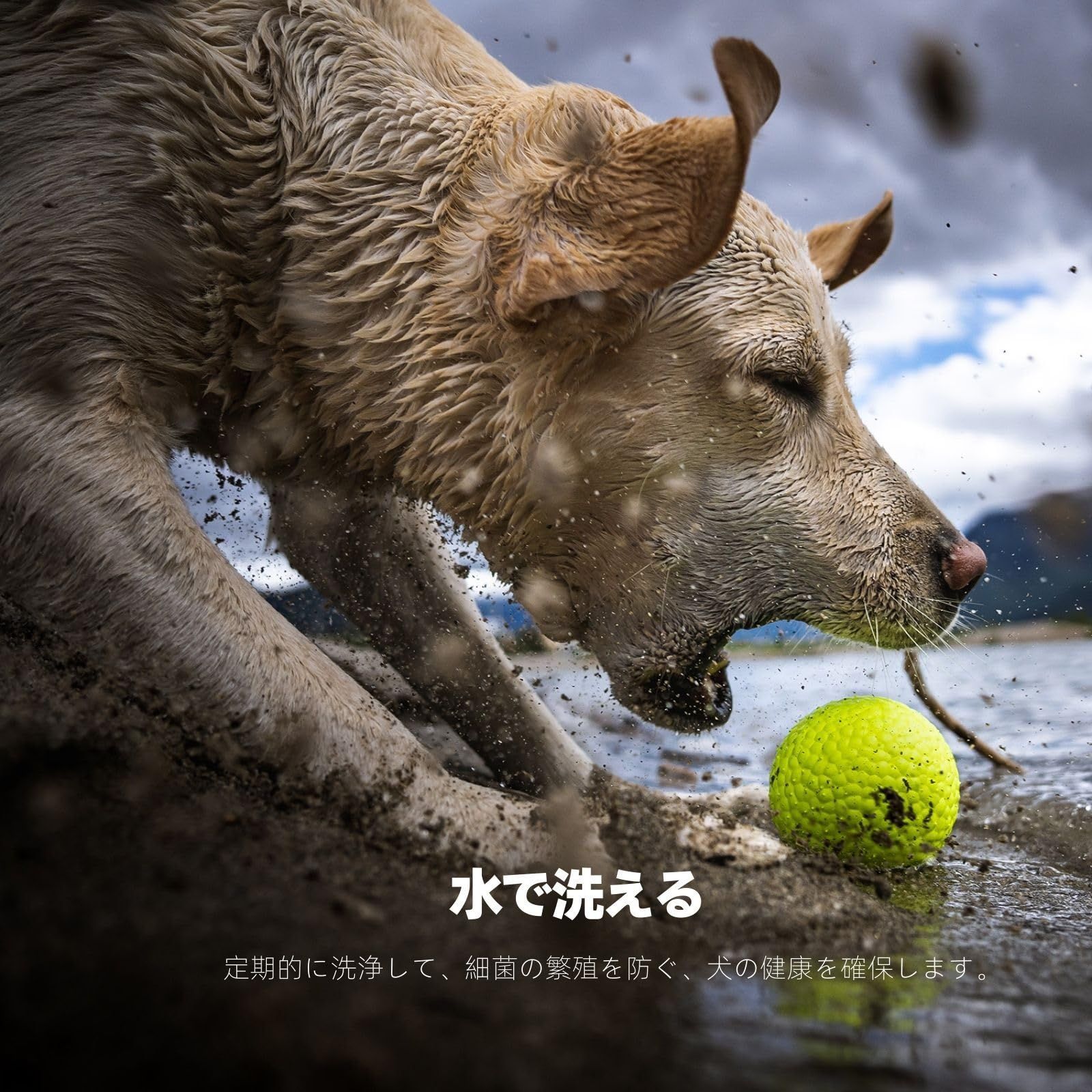 LIKOKLIN 犬用おもちゃ 2個入り犬用噛むおもちゃ 犬のおもちゃ ボール aiaiショップ メルカリ