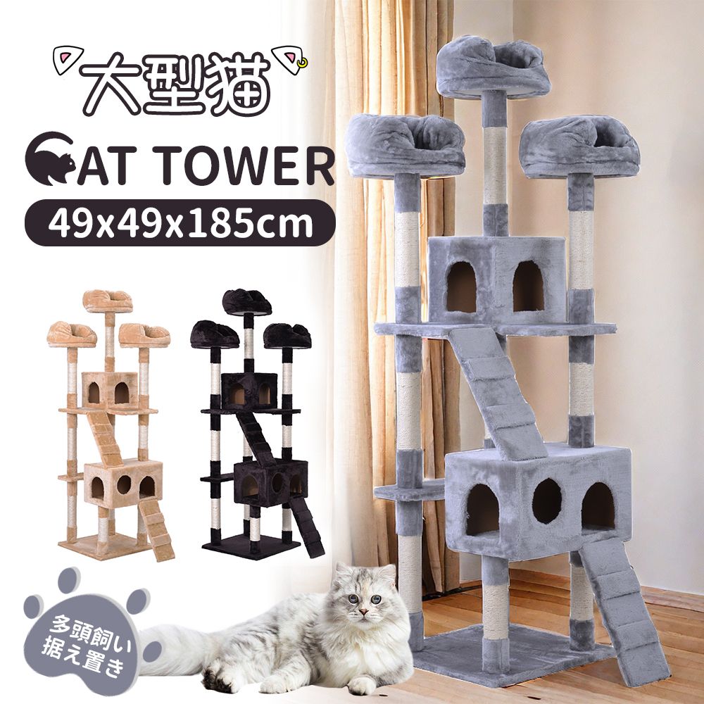 バスケット 多頭飼い
