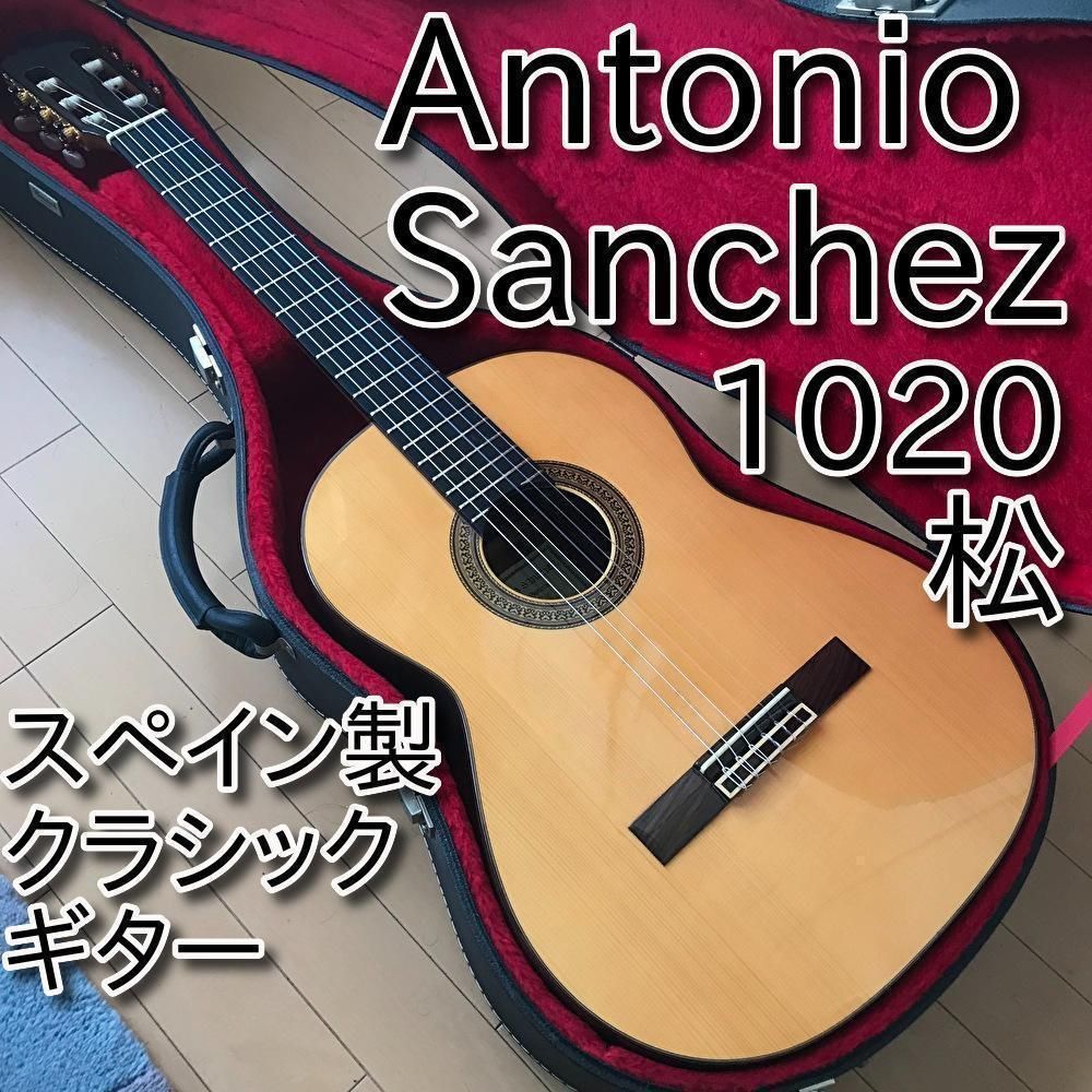 Antonio Sanchez 1020 松 1998年 15 - ギター