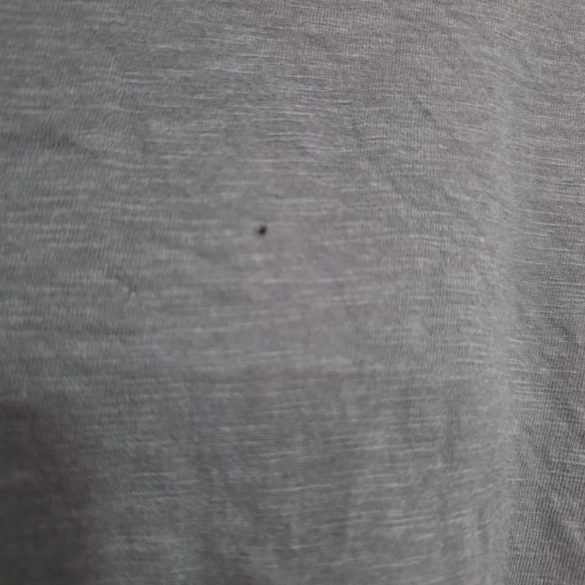 セオリー レディース フードジップアップ 近年 セオリーリュクス