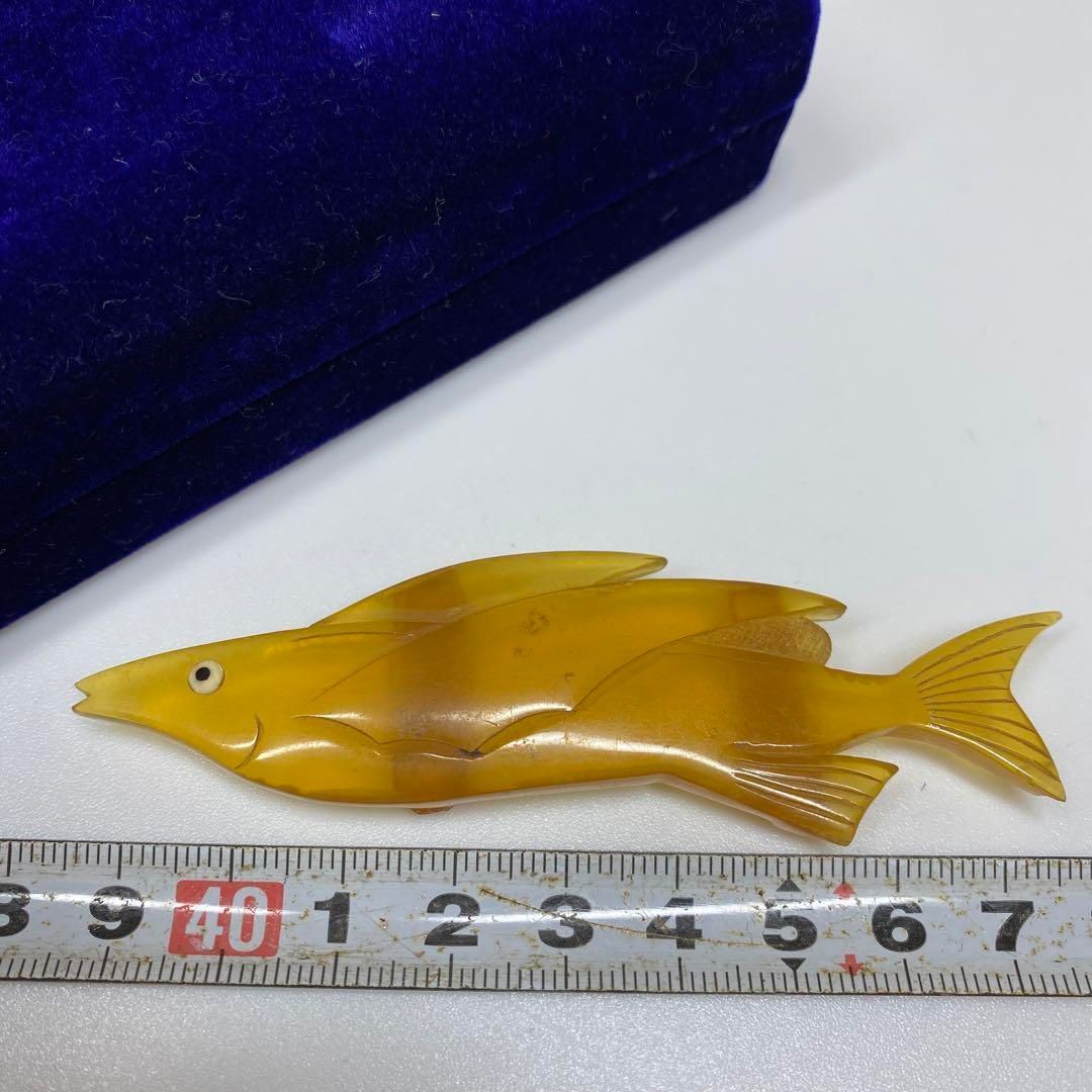 本白鼈甲 魚 帯留 9g ケース付 東さ6-0905 2F